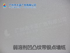 广州市个性化墙纸、个性化壁纸背景装饰